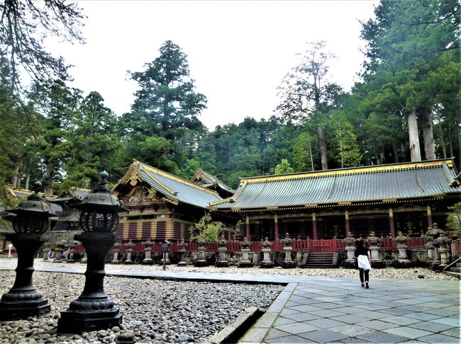 神杉(樹齢;～800年)につつまれて 金色の日光東照宮♪ 』日光