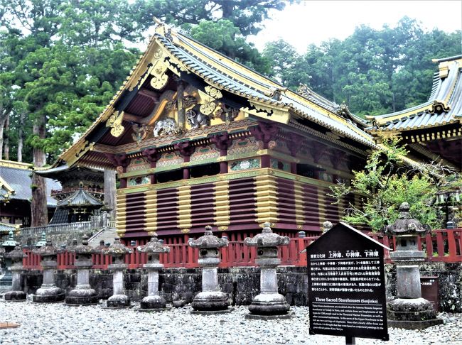 神杉(樹齢;～800年)につつまれて 金色の日光東照宮♪ 』日光