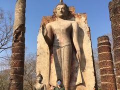 かと思ったら足元にお供を連れていました。
そしてこのサイズ感・・とても大きいです。