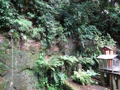 ここが不動の滝、名前は立派ですが滝とは言えないかわいい物です。
知識なく行ったもので、不動の滝はどこと探しまくりました((+_+))