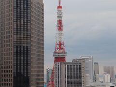 東京タワー、オランダヒルズ。
それにしても、何とかヒルズというのが増えたものだ。