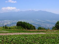 ゴンドラを降りると、そこには入笠すずらん公園が広がっていた。
そこからは、八ヶ岳の雄大な眺めを望むことが出来た。
ここでもすずらんを見ることは出来るが、植えられたものなので先へと進む。