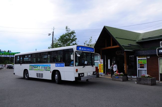 すずらん咲く初夏の入笠山へ 富士見 長野県 の旅行記 ブログ By 旅猫さん フォートラベル すずらん咲く初夏の入笠山へ 富士見 長野県 の旅行記 ブログ By 旅猫さん フォートラベル