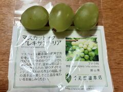 千疋屋総本店に寄ったらアレキサンドリアの試食をいただきました。
美味しかった！さすが千疋屋総本店！