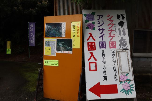 「大窪寺」へ到着。<br />門前を過ぎ、すぐ右手にあった八十八庵のパーキングに車を停めます。<br />駐車場奥が「アジサイ園」の入り口。