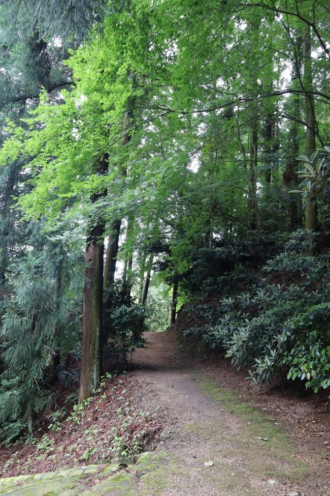 ここからしばらく山道を登って行きます。