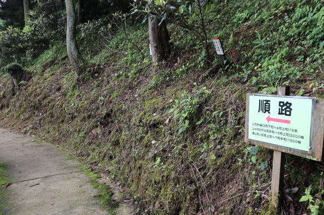 このような案内板があり、ぐるりと山谷を回って戻ってくるようになっています。