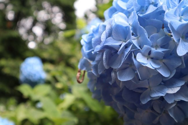 かろうじでぶら下がってる…^ ^