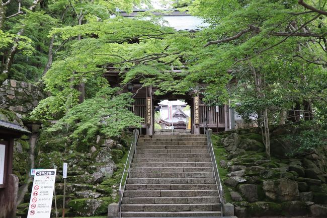 紫陽花を楽しんだ後は、「大窪寺」へ。