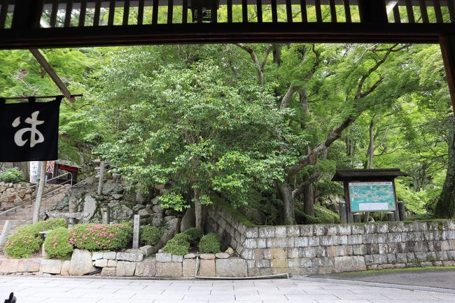 待っている間、外から入ってくるそよ風がひんやりしていて気持ちよかった。<br />