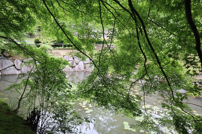 空気も爽やか、気持ちも清々しい。