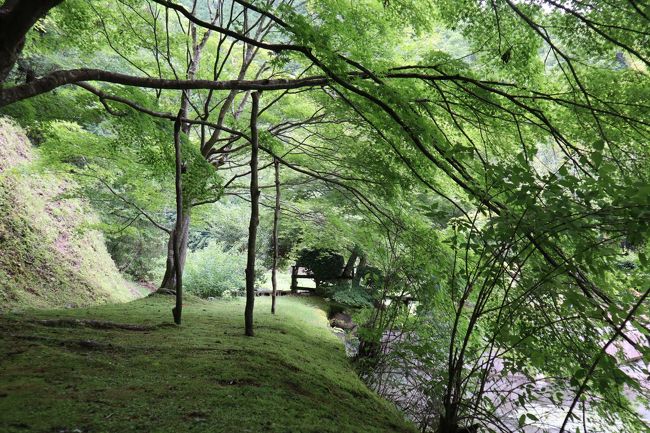 旅館の建物の奥にも、散策できる庭が広がっていました。