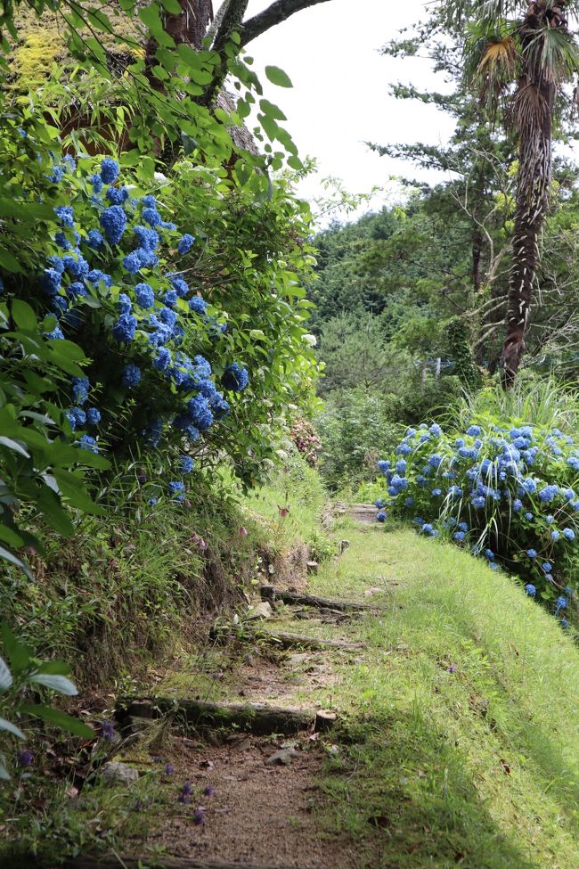 入り口から山間の小道を登っていくと見えてきました。