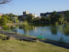 ●猿沢池＠興福寺界隈

猿沢池には、桜の気配はなしですね。