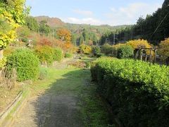 總光寺庭園