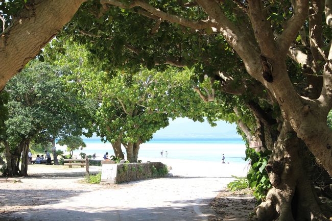 コンドイビーチの入り口<br /><br />ここに来たらテンションＭＡＸ！