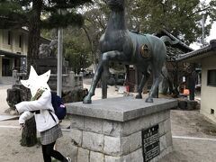 本数の多くないバスに乗り込みやっとこさ「藤森神社」へ。こちらも某刀剣ゲーム関係ですが、駈馬神事が行われることでも有名な神社。「鶴丸国永」の写しも拝見して目的達成。（寒すぎて写真がこれしかない…）
竹田駅まで戻り、スーパー銭湯で体の芯までから温めて京都駅へ戻る。「VIPラウンジ」でのんびり過ごして夜行バスに乗り込みます。まだまだ行きたい場所、泊まりたいホテルがたくさんある京都、何度行っても楽しめます。次はいつになるだろうか～。

★3日目最終日おわり