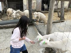 ヤギたちにも怖がらず/臭がらずに餌をあげるなんて！

しばらく旅行してない間に成長したなーと感じました。
よかった。これでお出かけ先の幅が広がりました。

午後になるとすぐ雨が降ってきたし、都内で所用があったので帰りは那須塩原からひょいっと帰京。
コロナ禍、手探りでの観光スタートとなりましたが、みなで気を付けながら経済回していけたらいいですよね。

Fin