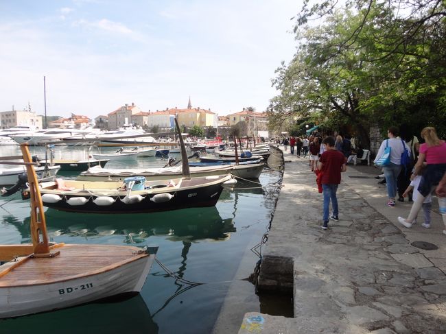 海沿いの道まで出てきました。
