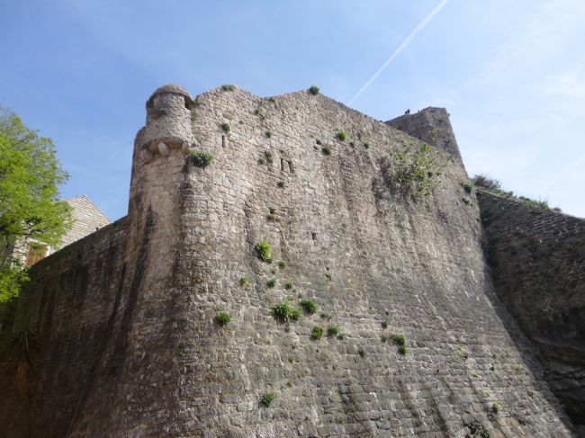 城壁。石垣の隙間から草がボーボーです。