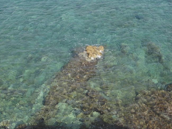 海の水がとてもきれいです。