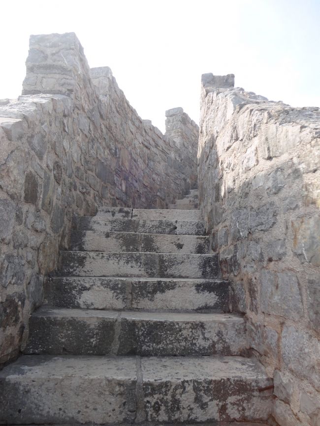 登っていきます。