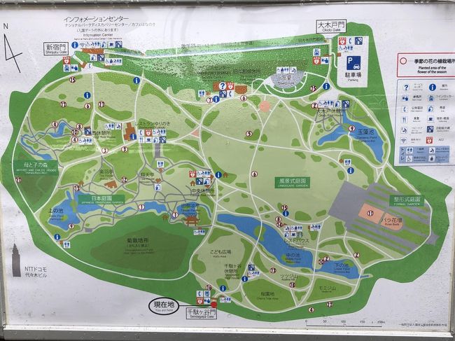 朝活 アジサイ 靖国神社 迎賓館赤坂離宮 年6月オープンのカフェ カーブドッチ迎賓館 新店舗 スターバックスコーヒー 新宿御苑店 新宿 東京 の旅行記 ブログ By リンリンベルベルさん フォートラベル