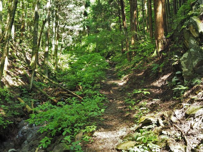久しぶりの山の空気は旨い 白岩滝ハイキングコースから麻生山 日の出山日帰り登山 あきる野 秋川渓谷 東京 の旅行記 ブログ By クリント東木さん フォートラベル 久しぶりの山の空気は旨い 白岩滝ハイキングコースから麻生山 日の出山日帰り登山 あきる野 秋川渓谷 東京 の旅行記 ブログ By クリント東木さん フォートラベル