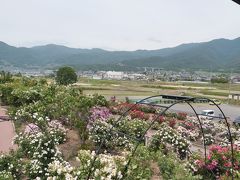 さかき千曲川バラ公園