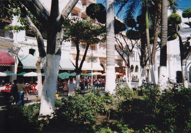 昼間のアルマス広場。