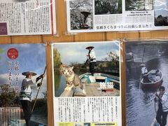 観光事務所に貼られた水上パレードの様子
旅猫もあります。