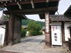 天龍寺

紫陽花開花中
空いているであろう天龍寺の庭を眺めるのも悪くないけれど今日はスルー。
一度門を潜ったものの引き返す。