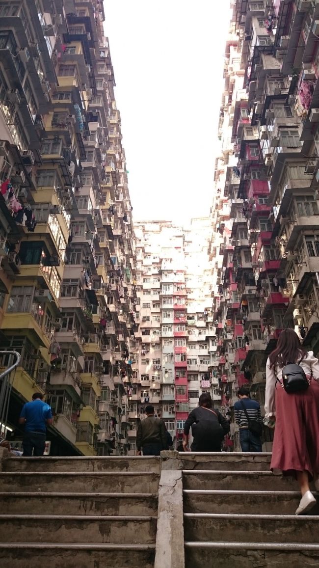 益昌大廈です。<br /><br />今改めて調べてみたら、私が旅行した以降に住民以外は立ち入り禁止になったというような情報もありました。<br />このときは「騒がないように」というような注意書き程度でした。