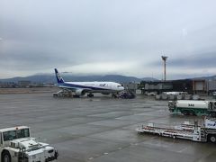 10:40
ホテルからリムジンバスで伊丹空港に来ました。とってもスムーズで早く到着できました。