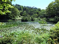 １０時を過ぎたので六甲高山植物園に入園します。