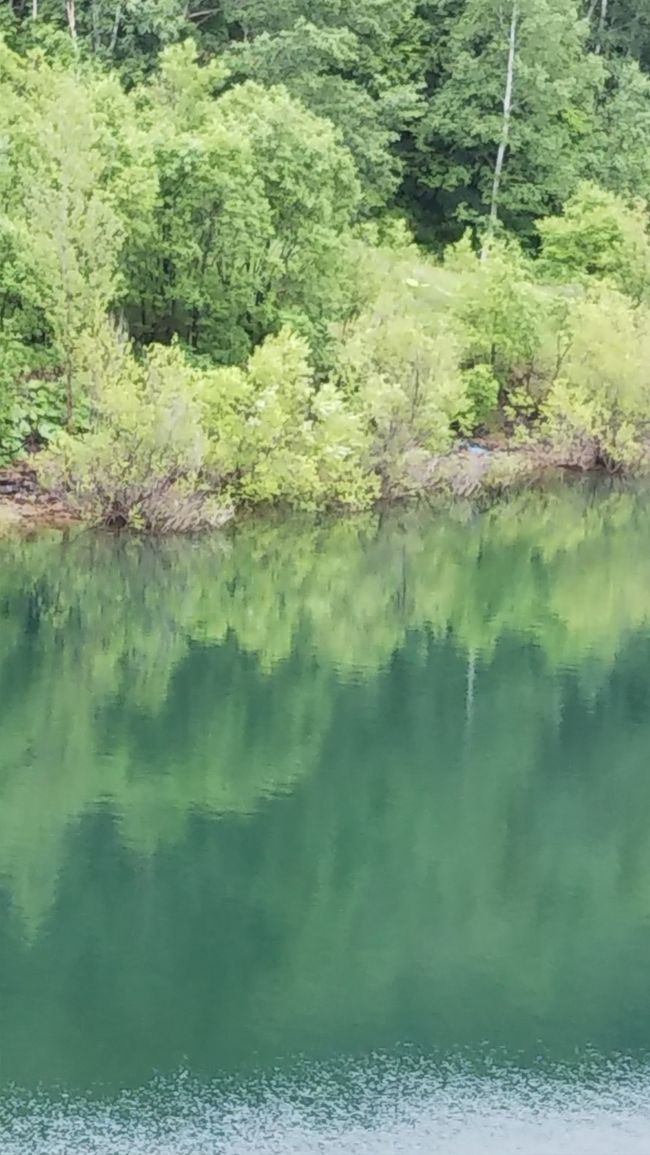 湖面に映る緑が神秘的で<br />晴天だったらまた別の顔でしょうが<br />これはこれで心に染みる