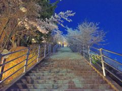 新倉山浅間神社までの参道。