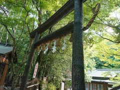 野宮神社の黒木鳥居

どうもねえ、今は木じゃないみたいでしたよ。