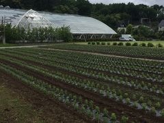 山中湖まで来たけど、まだまだ時間もあるのと、雨も上がってたんで、15年ぶりに「花の都公園」を散策！