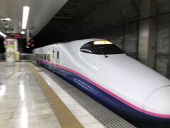 上野から上越新幹線に乗って新潟へと向かいます。やってきたのはE2-1000番台で新潟新幹線車両センター所属のJ64編成です。
本当はE4系のMAXに乗りたかったのですが、今回は冒頭でも触れた少々重い連れが居て、大人の事情でそうもいかないです。