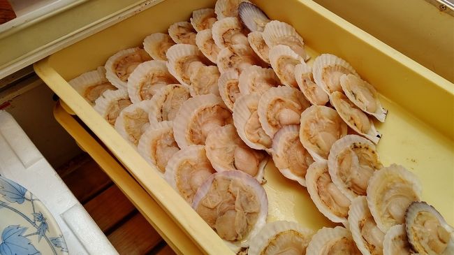 メロン狩りと浜焼きバーベキュー 蒲郡 愛知県 の旅行記 ブログ By にゃんたーさん フォートラベル メロン狩りと浜焼きバーベキュー 蒲郡 愛知県 の旅行記 ブログ By にゃんたーさん フォートラベル