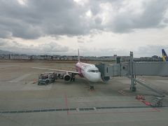 今回、福岡空港から成田空港へは ピーチ で行きます。

17：00 発　MM５２６便