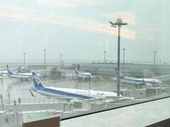 羽田空港、外はあいにくの雨です。
久しぶりに飛行機にご対面、これだけで気分はウキウキして来ます。