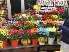 花市場に入ってみました。やっぱオランダといえばチューリップ。水色のやつ、綺麗。人工カラーリング？