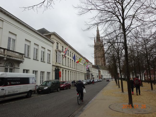 寒い日となりました