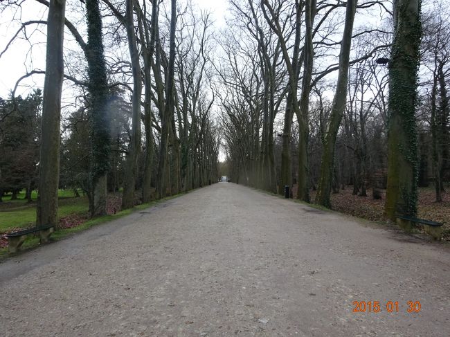 お城に続く長い参道