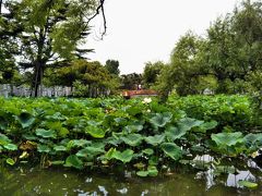 鶴岡八幡宮