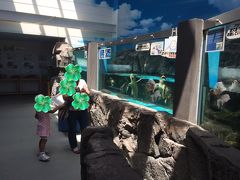 日和佐にある亀の水族館へ。
小さな水族館ですが、亀が沢山いて楽しいです。