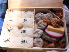 スーパービュー踊り子で伊豆熱川へ！
旅のお供は、崎陽軒シウマイ弁当！