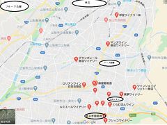 【マルキワイナリーツアー】
坐忘からまるき葡萄酒ワイナリーへの道にはハーブ庭園あり、ワイナリーが軒を連ねている・・ワイナリー街道でしょうか・ブドウや梨畑見えて、車窓が楽しい。シャトーメルシャンもありました。
ドライバーの説明付きで、道中もワイナリーの体験もとても楽しいです。

ハーブ庭園は以前、横田基地バスツアーで遠回りして買い物させられた場所でした。
画像の赤い印はワイナリーです。